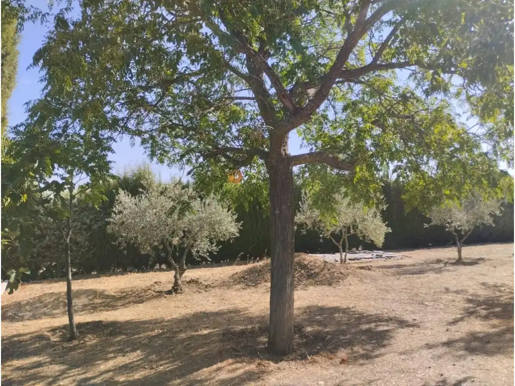 Casa o chalet en venta en Almodóvar del Campo con Piscina comunitaria