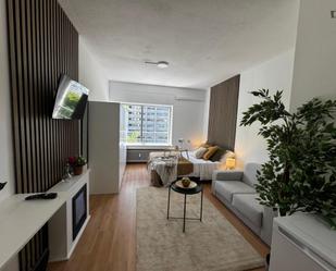 Living room of Study to rent in  Madrid Capital  with Furnished, Washing machine and Microwave