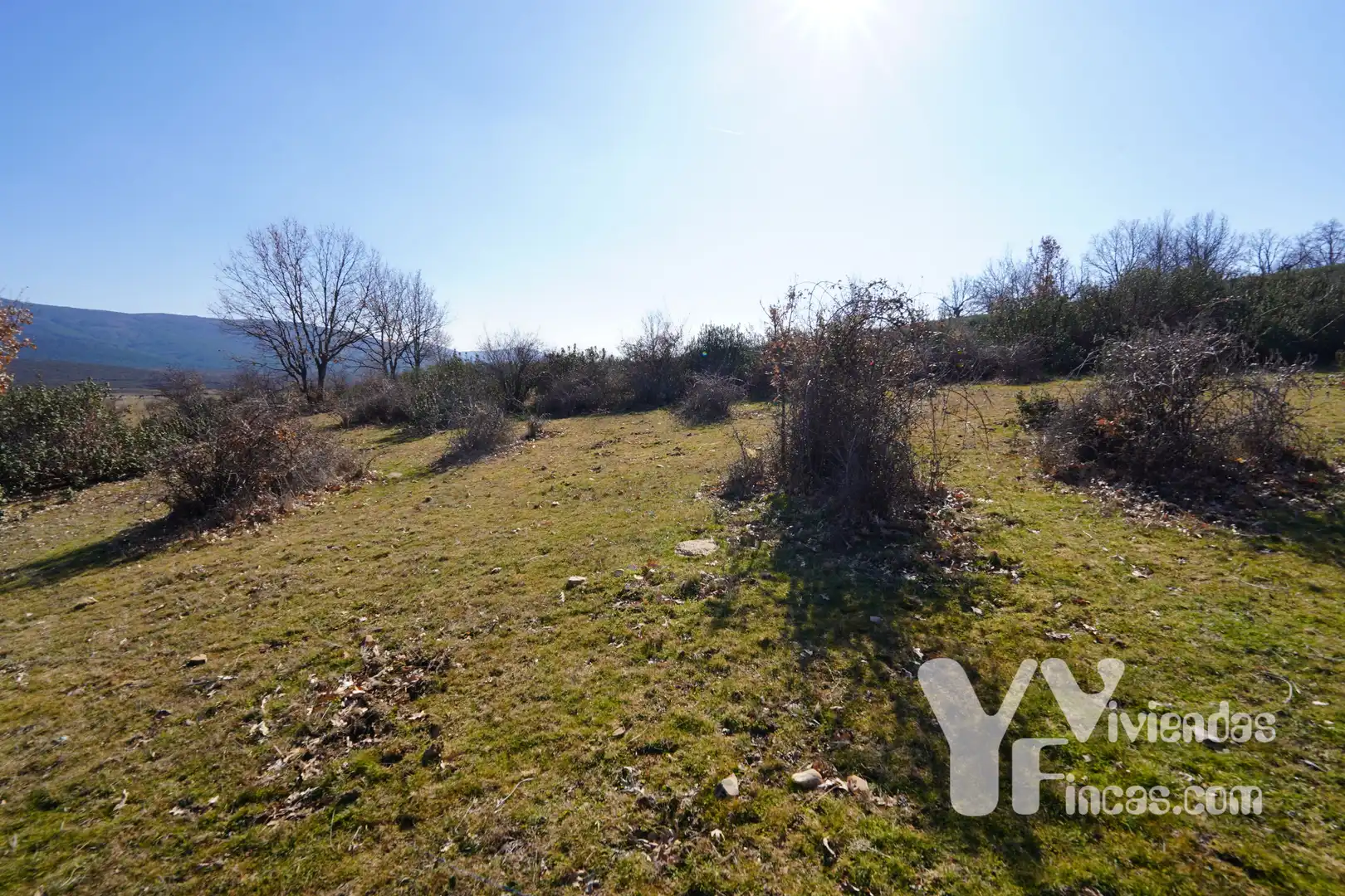 Terreno rústico en venta en Campillo de Ranas, imagen 10
