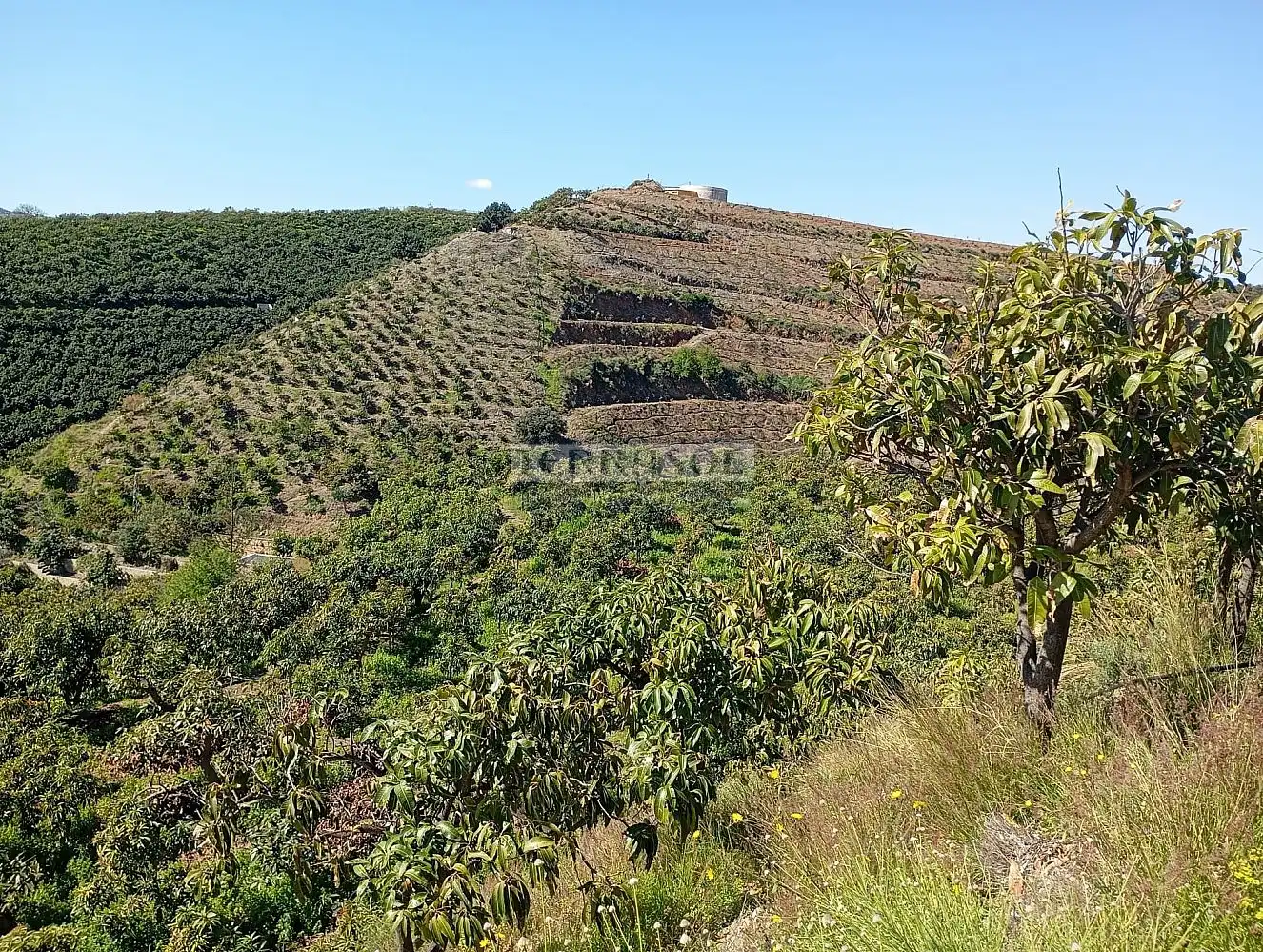 Grundstücke und Bauplätze zum Verkauf in Vélez-Málaga ciudad, imagen 4