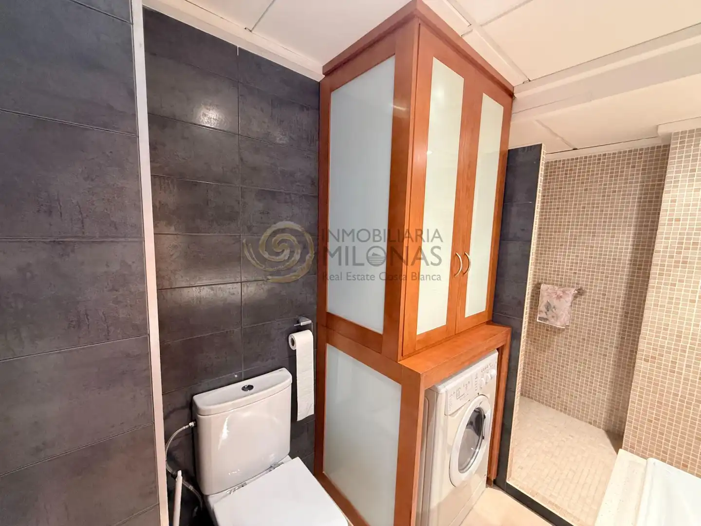 Apartments for rent in Avenida Avenida Mediterráneo, 66, Playa Levante