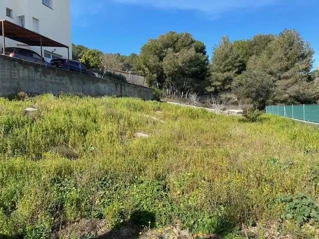 Imatge 2 de l'anunci