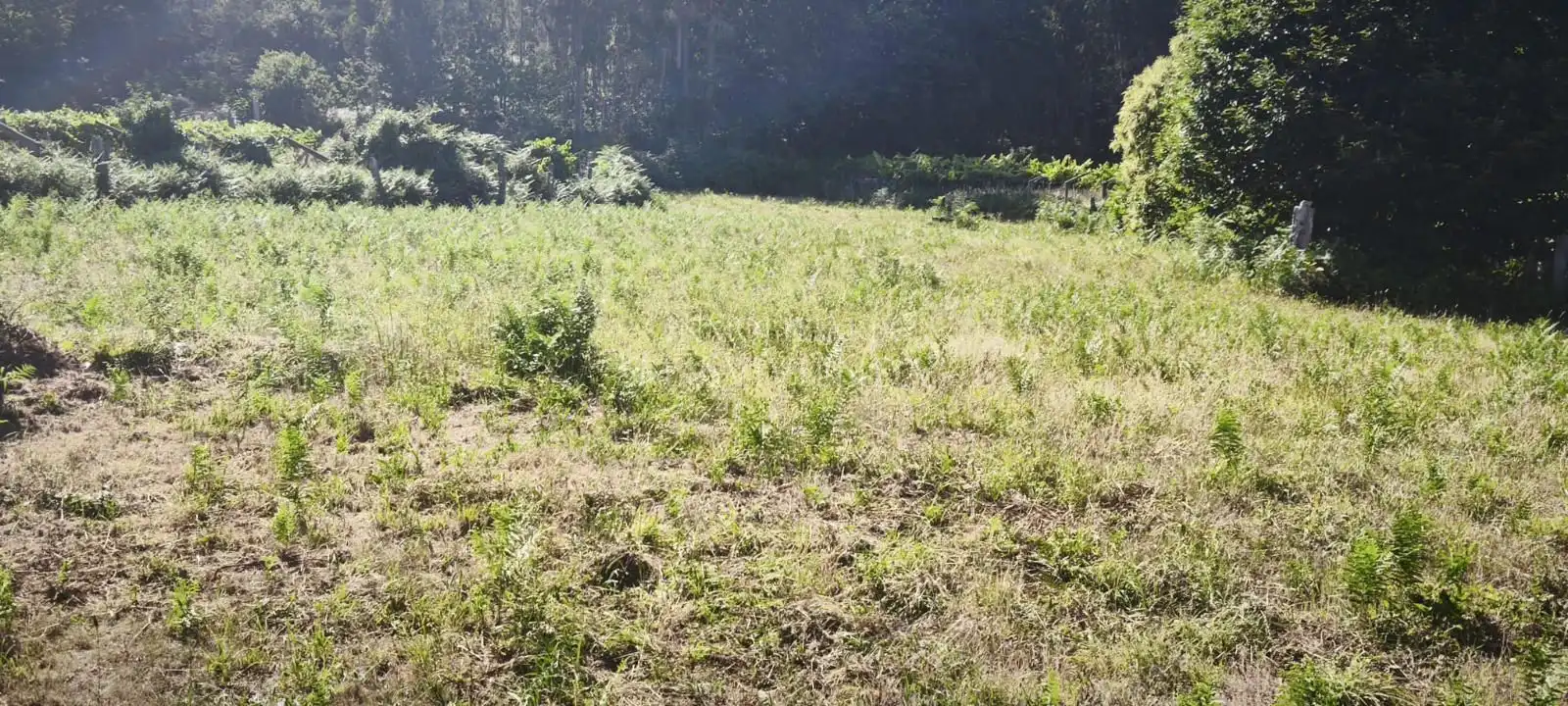 Terreni e lotti in vendita a Maceira-Parderrubias, imagen 3