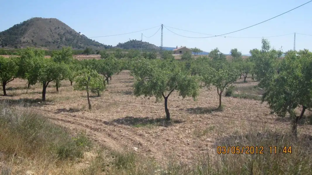 Casa amb terrassa en venda a Monóvar  / Monòver, imagen 7