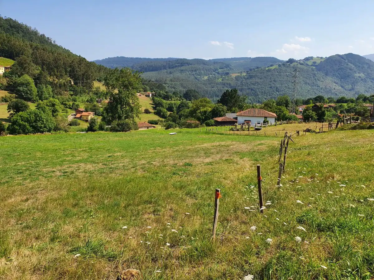 Terrenos y solares en venta en Salas, imagen 4