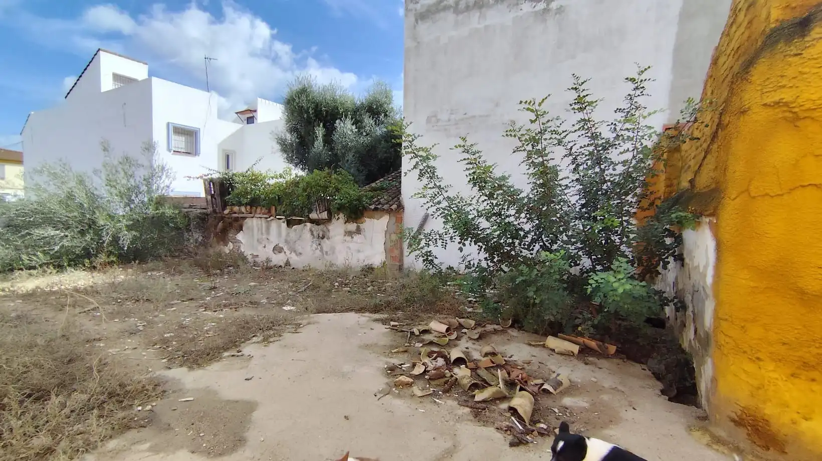 Finca rústica en venta en Guillena