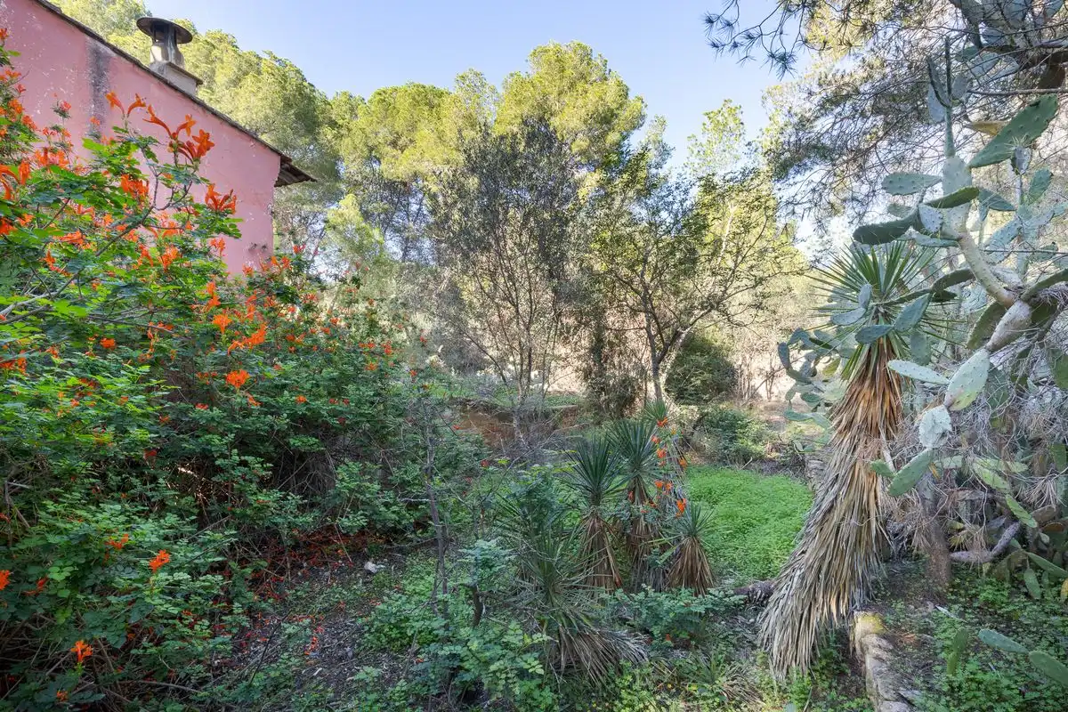 Terreno residenziale in vendita a Cami Ermita Nova, imagen 12