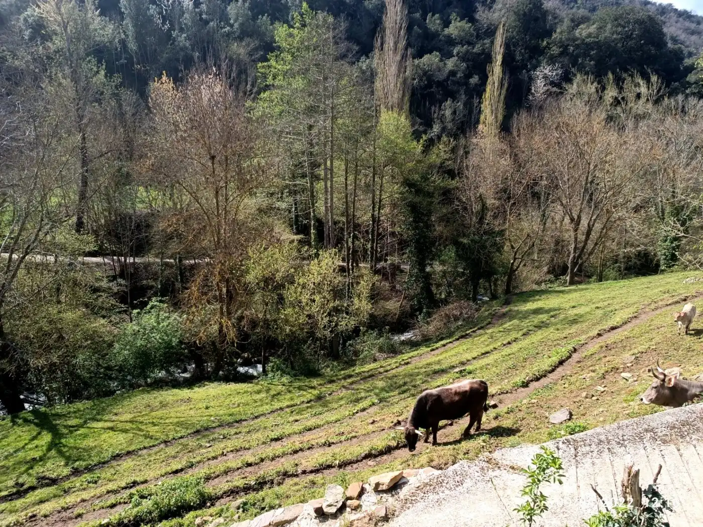 Exterior view of Residential for sale in Cabezón de Liébana