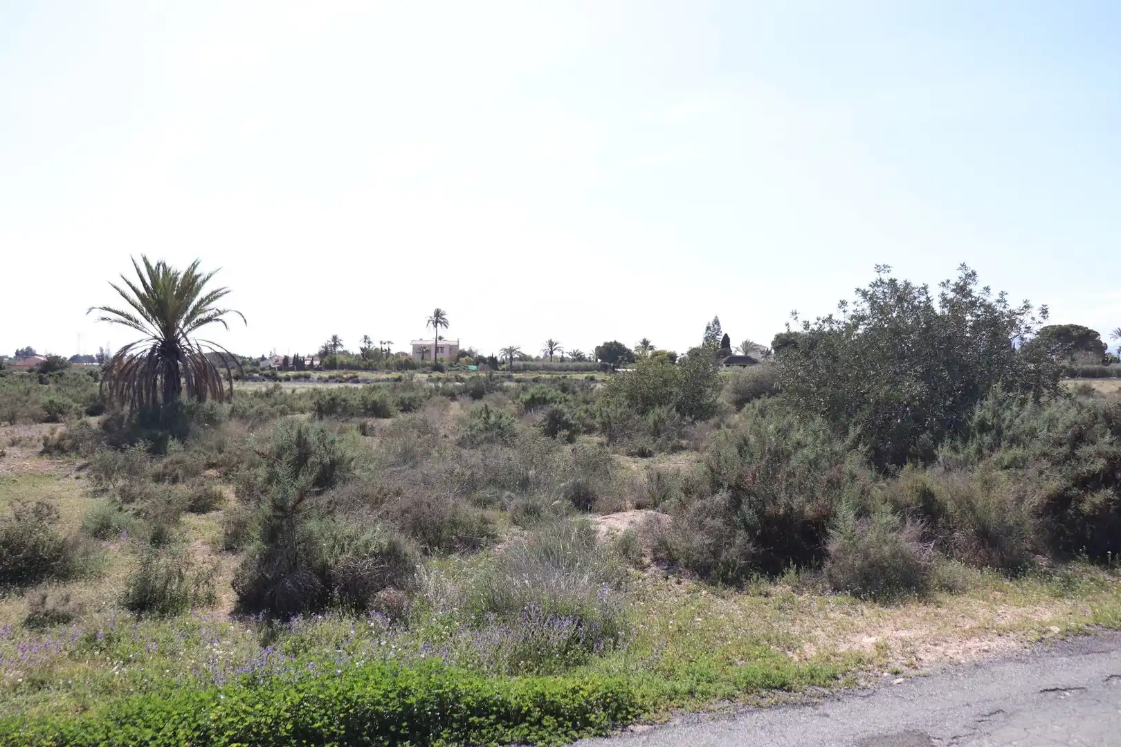 Grundstücke zum Verkauf in Elche / Elx