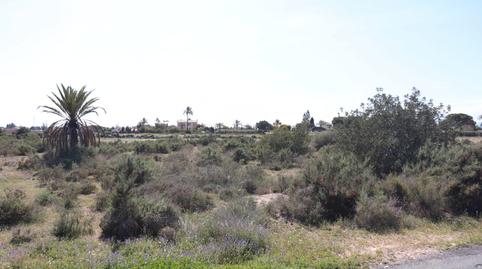 Photo 4 of Land for sale in Partida Perleta, 1184, Perleta - Maitino, Elche / Elx