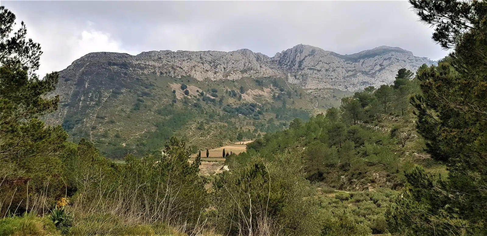 Land for sale in Benigembla