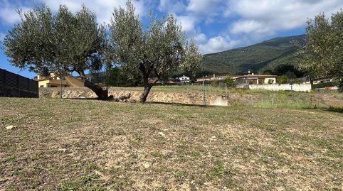 Immagine 4 dell'annuncio