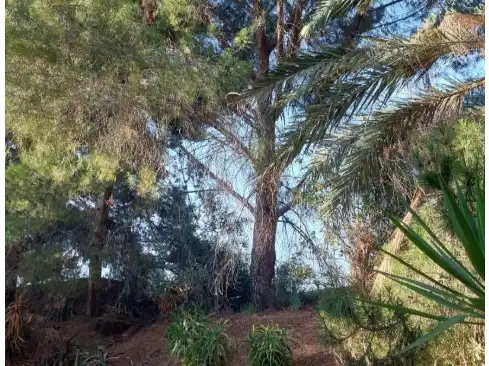 Finca rústica en venta en Partaloa, Almería