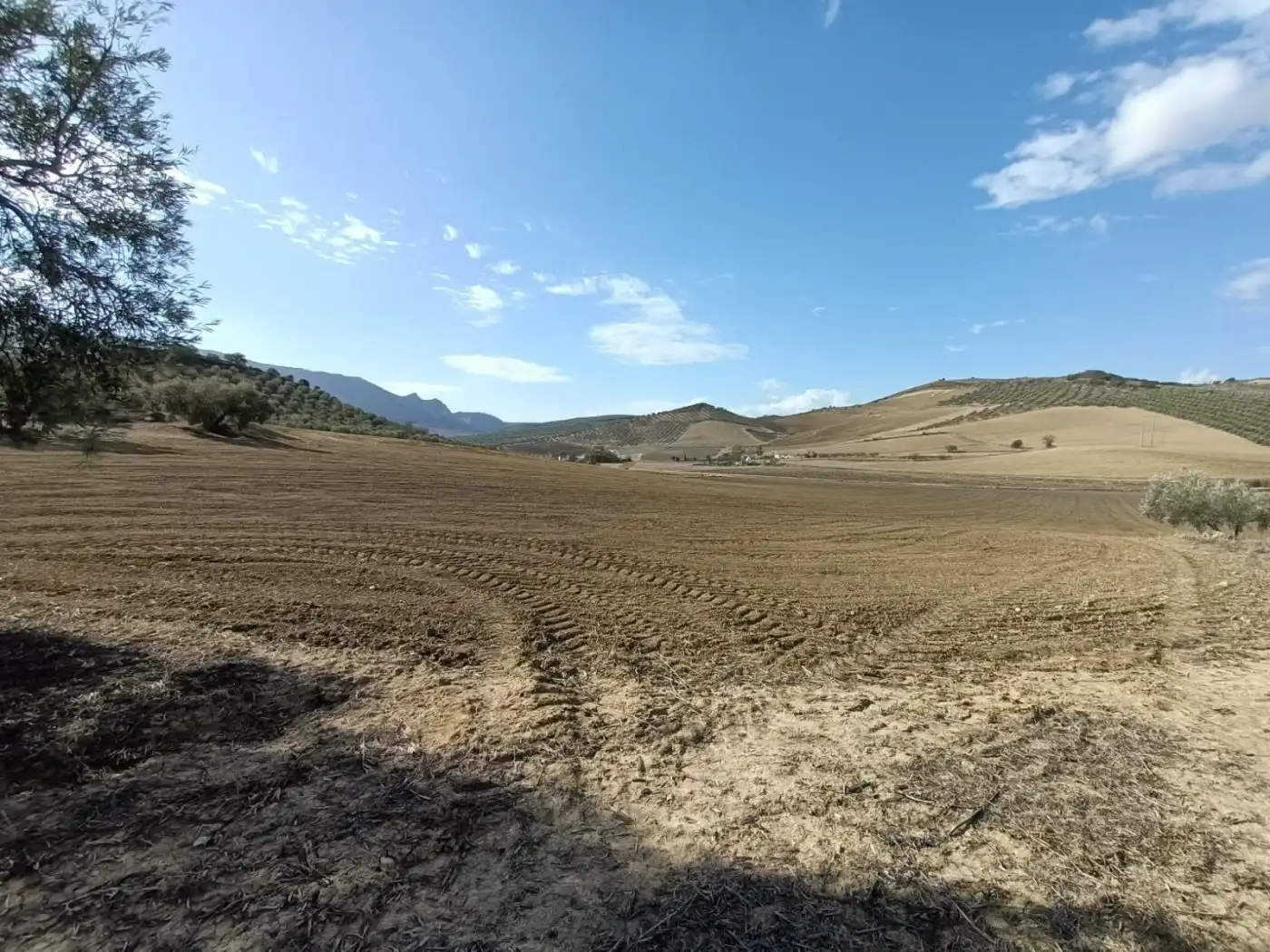 Terreni e lotti in vendita a Bobadilla - Bobadilla Estación - La Joya, imagen 3