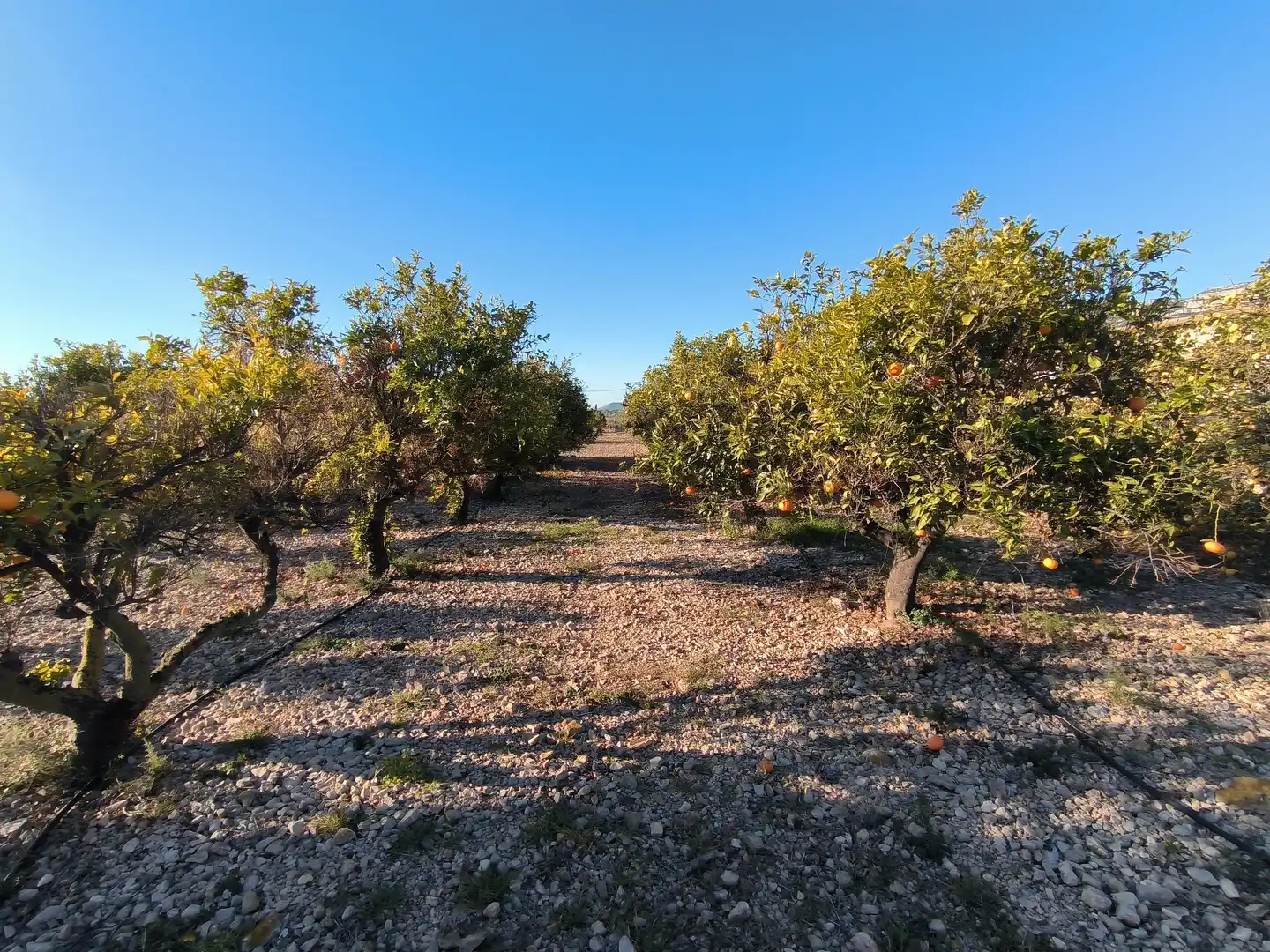 Terreno en venta en La Ràpita