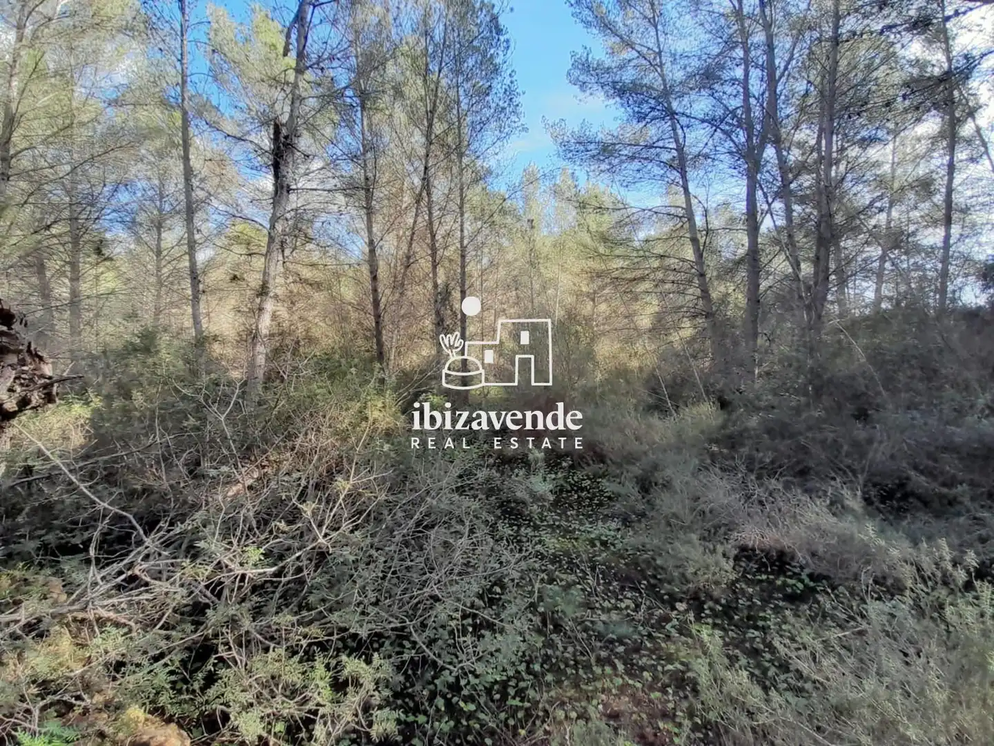 Residential land for sale in Sant Joan de Labritja, imagen 3