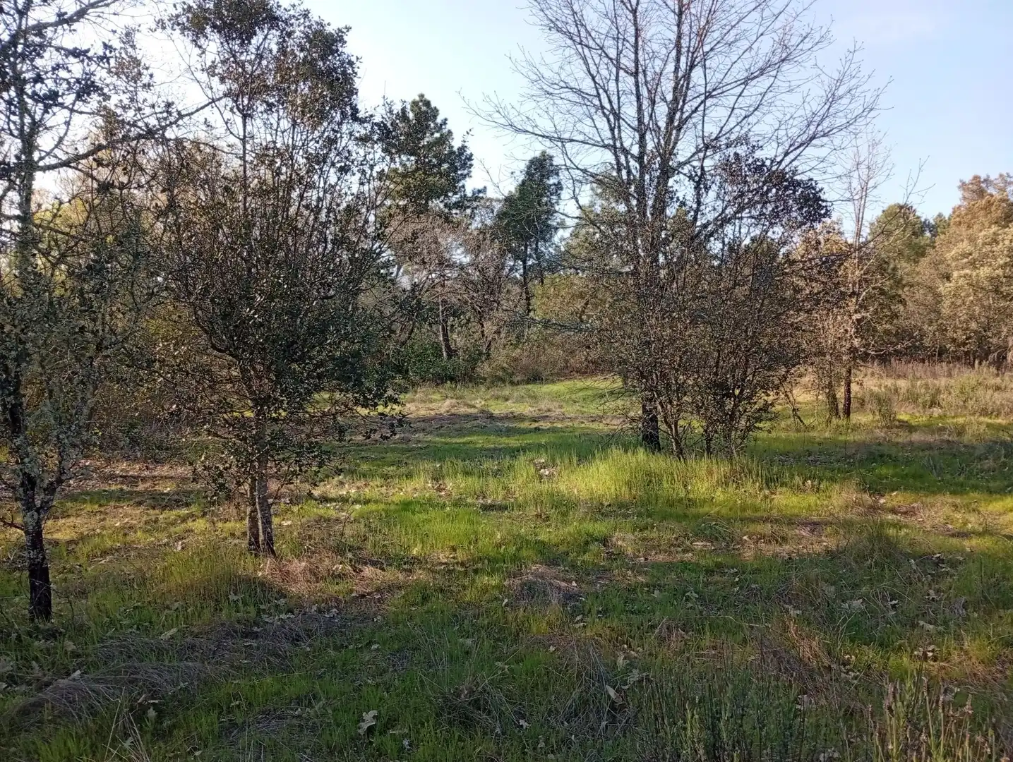 Terreni e lotti in vendita a Villanueva de la Vera, imagen 90