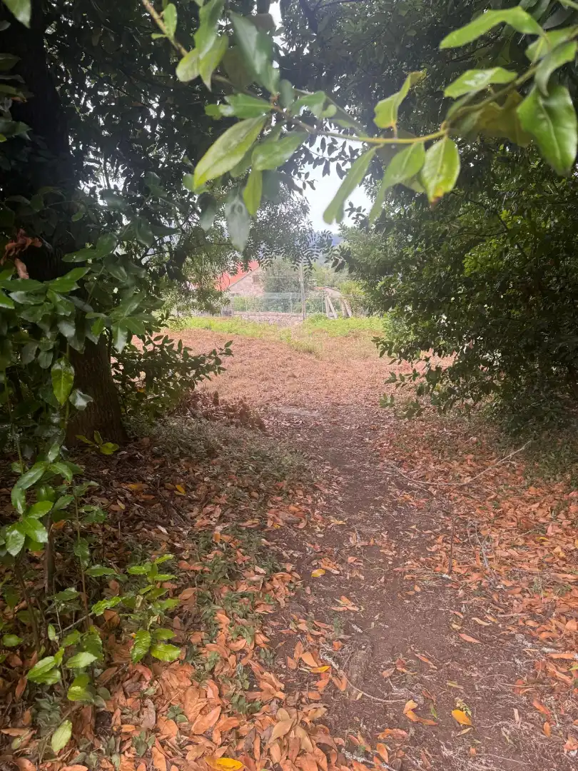 Terreny industrial en venda en Vilagarcía de Arousa