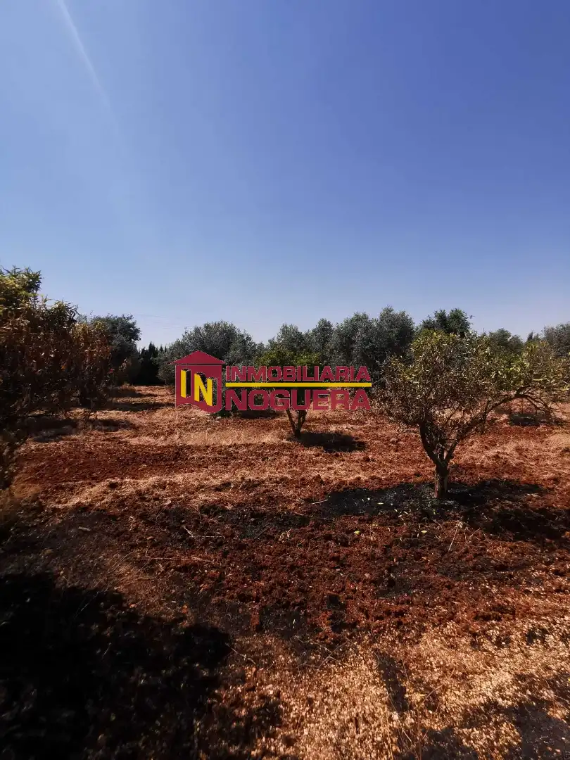 Terreno en venta en Écija