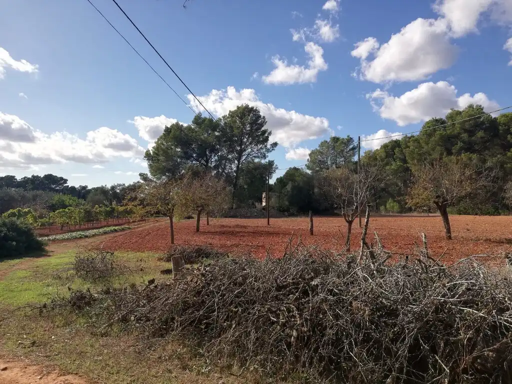 Terreno rustico in vendita a Algaida, imagen 9