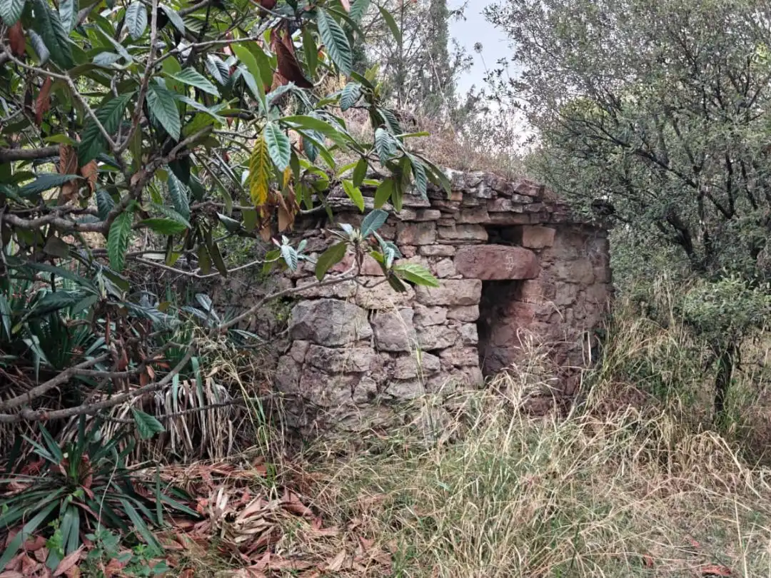 Vista exterior de Terreno en venta en Manresa