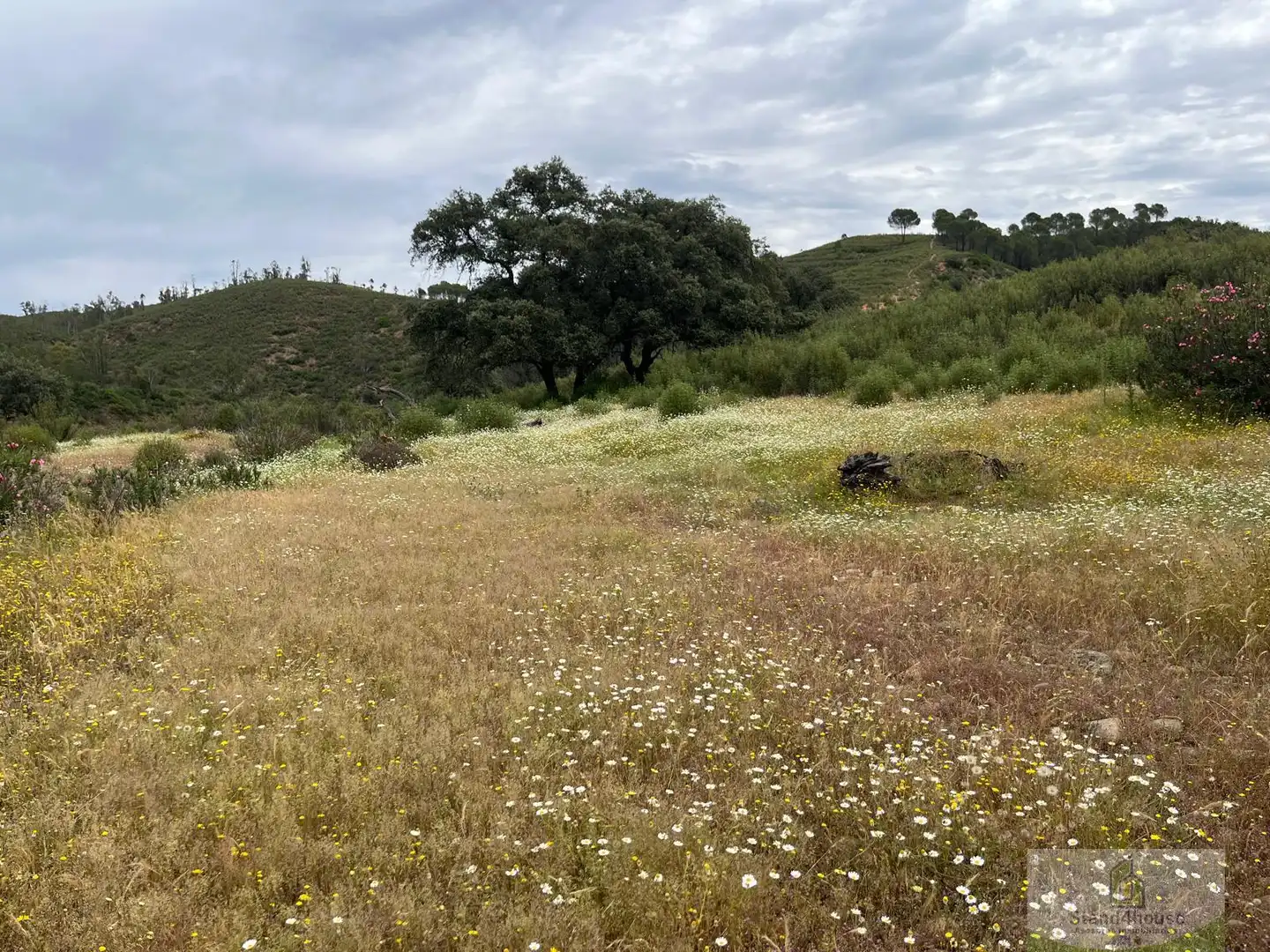 Finca rústica en venta en Berrocal