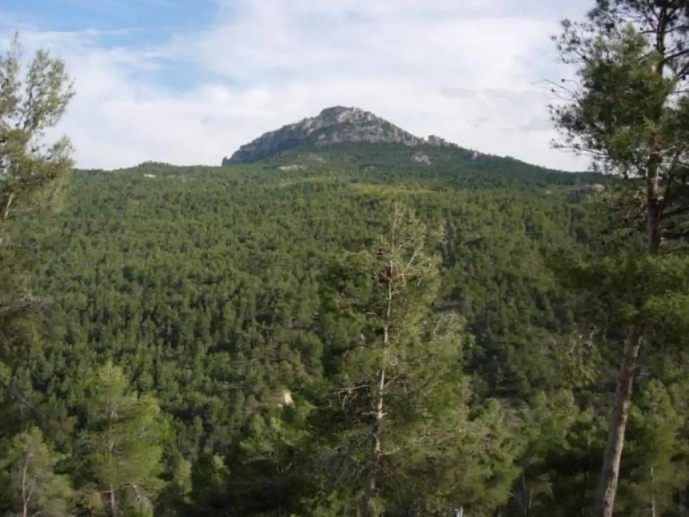 Terreny rústic en venda a Moratalla