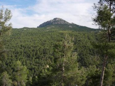 Terrain rustique à vendre à Moratalla
