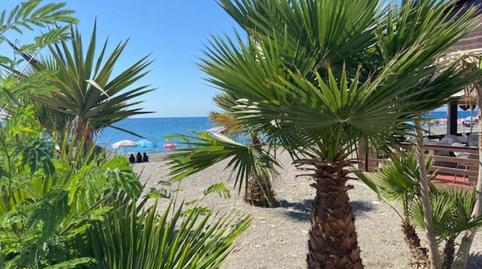 Foto 2 de Casa o xalet en venda a La Mamola, Granada