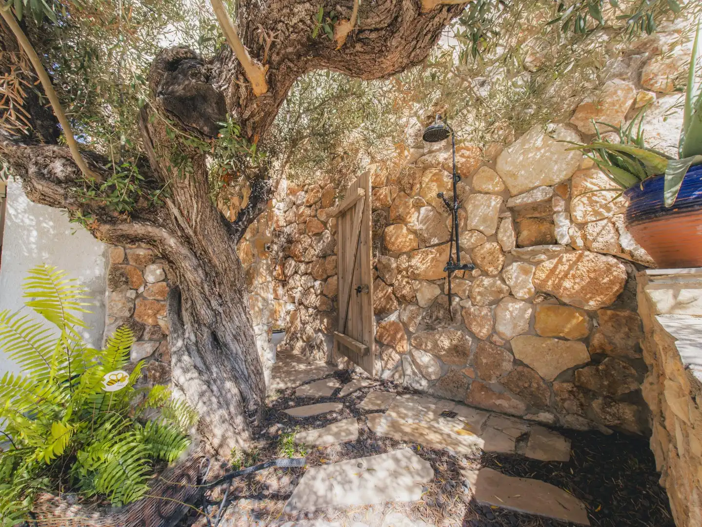 Maison avec piscine à vendre à Roques Daurades - L'Estany, imagen 35