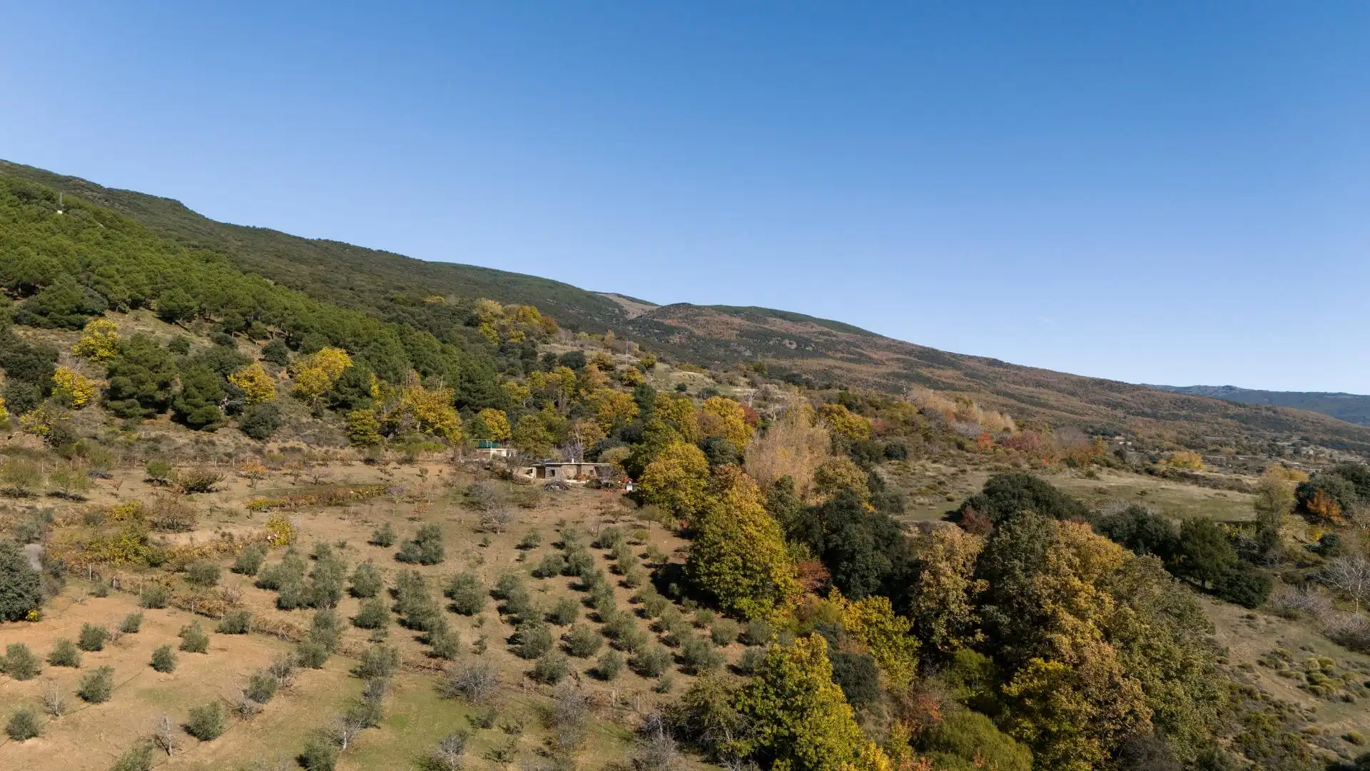 Finca rústica en venda en La Taha