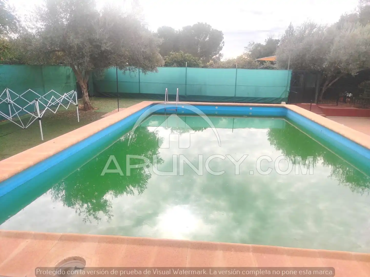 Chalet con piscina en venta en Mairena del Alcor, imagen 4
