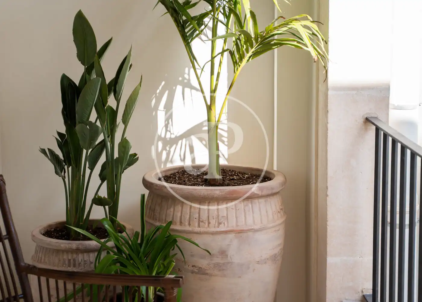 Jardín de Piso en venta en  Palma de Mallorca con Aire acondicionado, Calefacción y Terraza