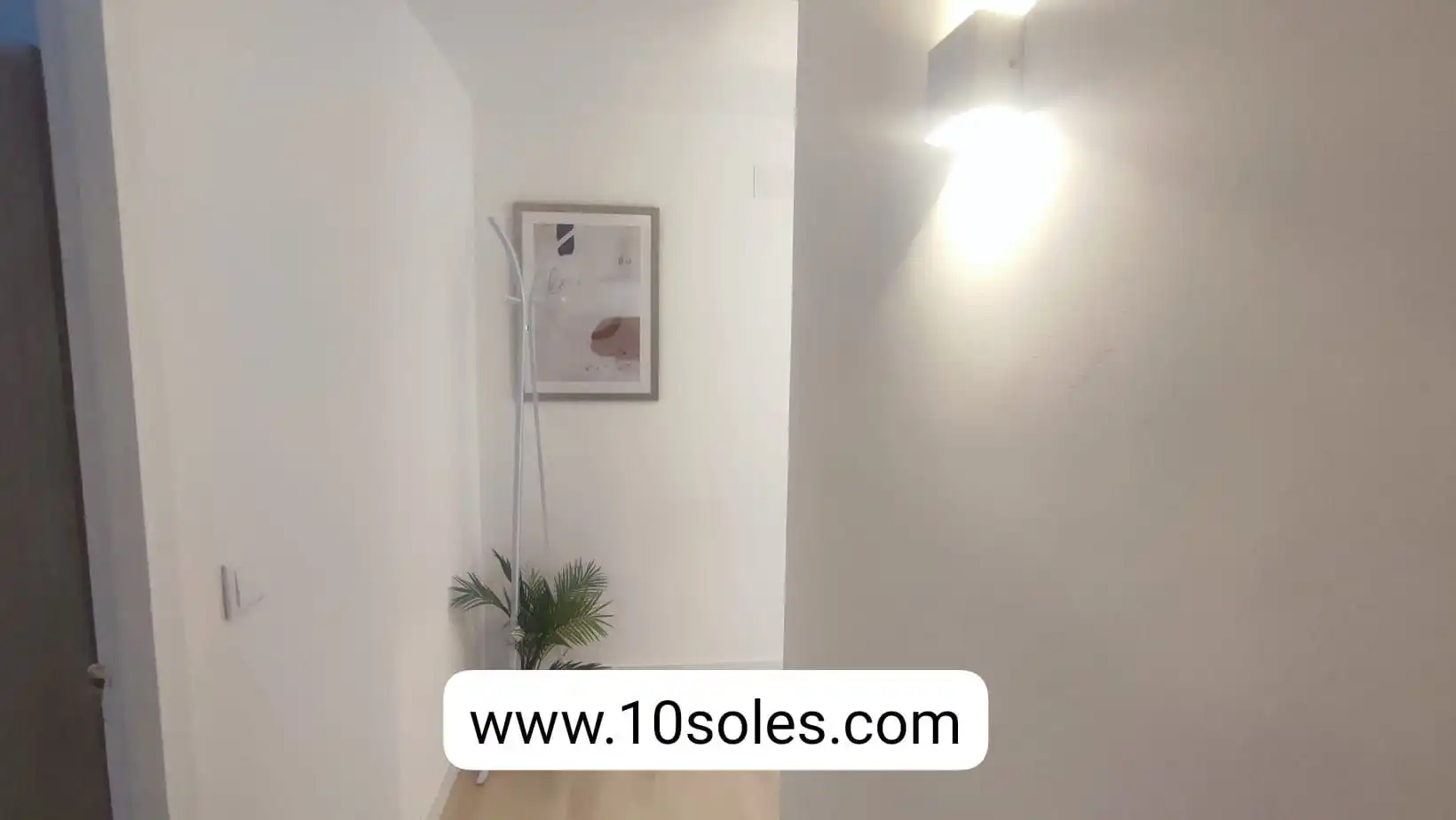 Apartments for rent in Orihuela ciudad
