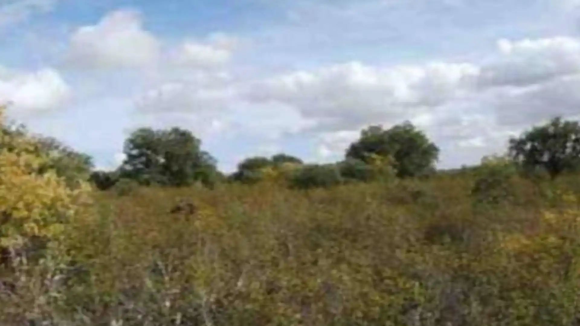 Residencial en venta en Corrales del Vino