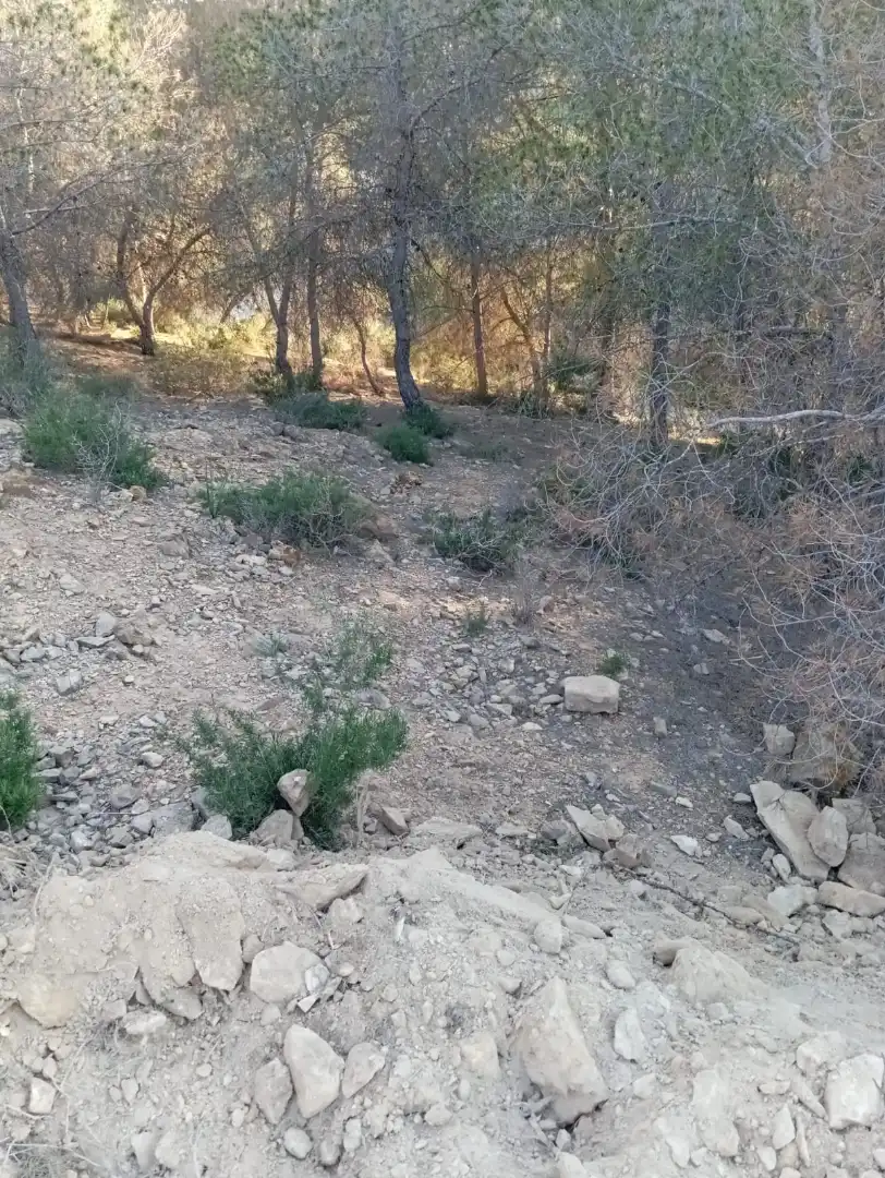 Terrenys i solars en venda a Camino Coto de los Cuadros, imagen 15