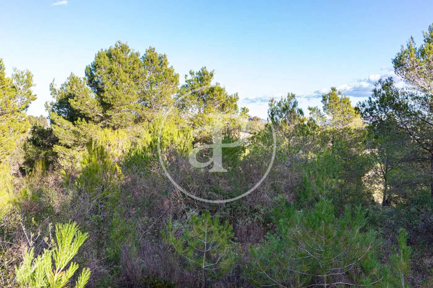 Residencial en venta en Santa Margalida