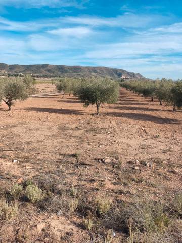 Terreno en Venta en N/A, -1 en Las Cruces