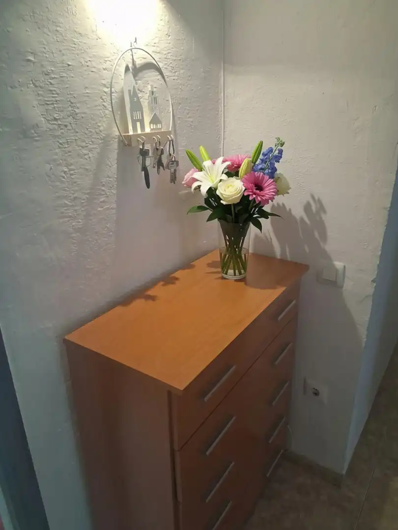 Appartamento in affitto a Calle Bernardo de Toro, imagen 13