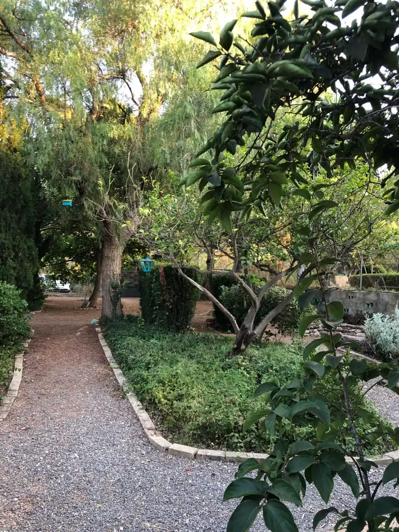 Jardí de Finca rústica en venda en Albalat dels Tarongers, Valencia