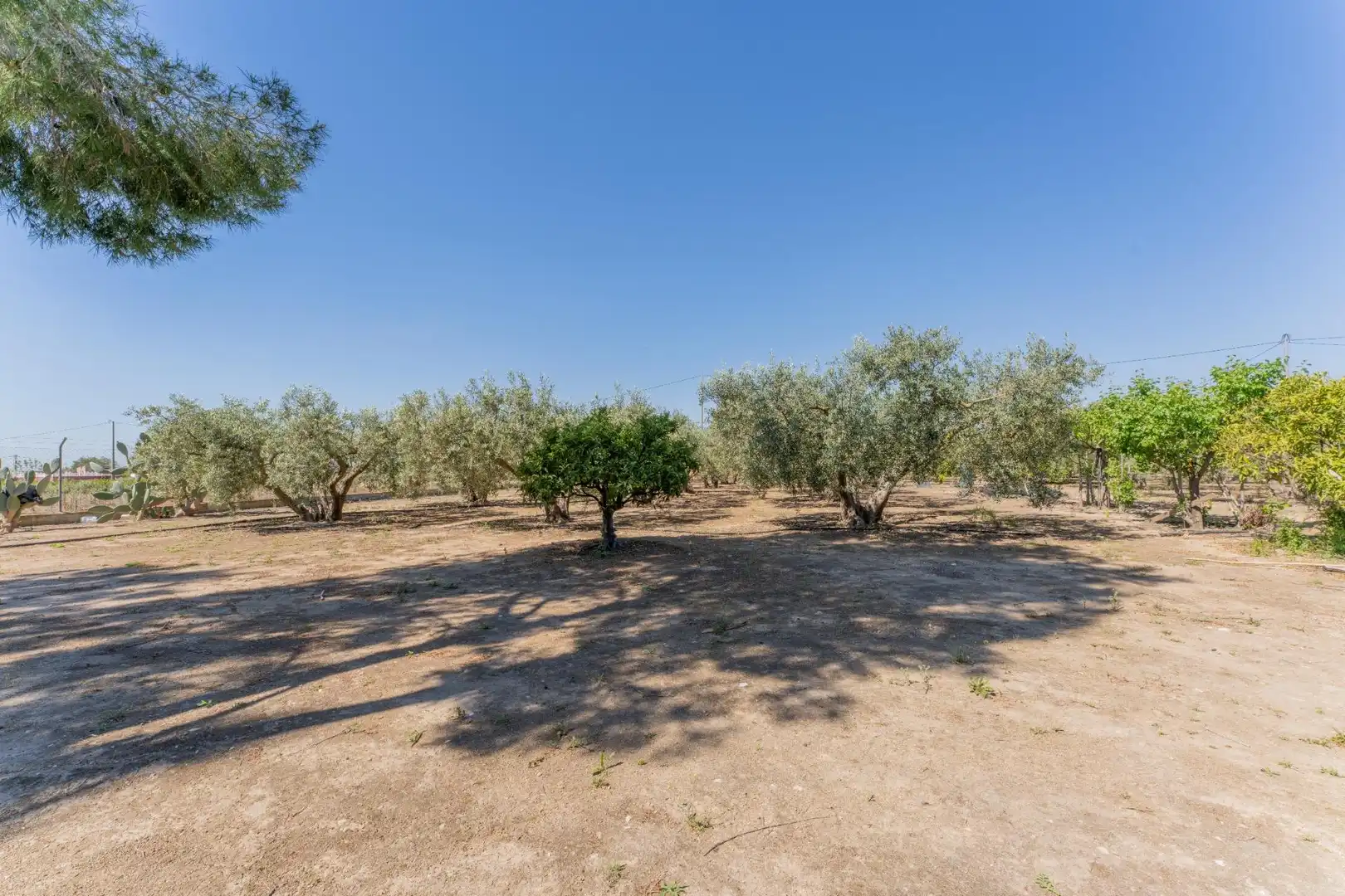 Casa o chalet en venta en Elche / Elx con Aire acondicionado, Terraza y Piscina