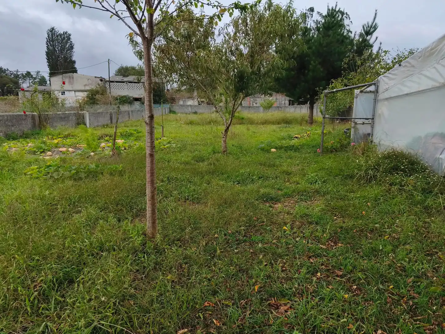 Wohnbaugrundstück zum Verkauf in Avenida Malpica 97, imagen 6
