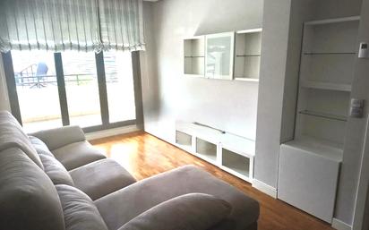 Living room of Flat to rent in Derio  with Terrace and Furnished