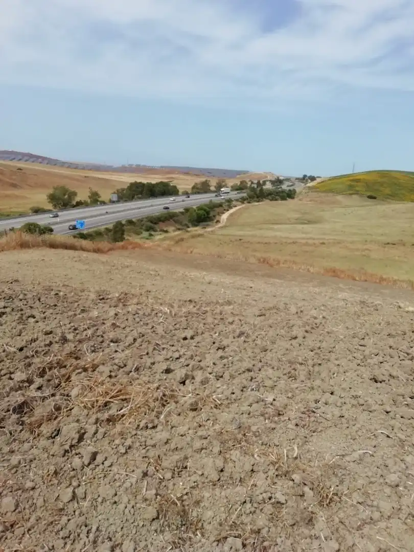 Terreno rustico in vendita a Barbate ciudad, imagen 6