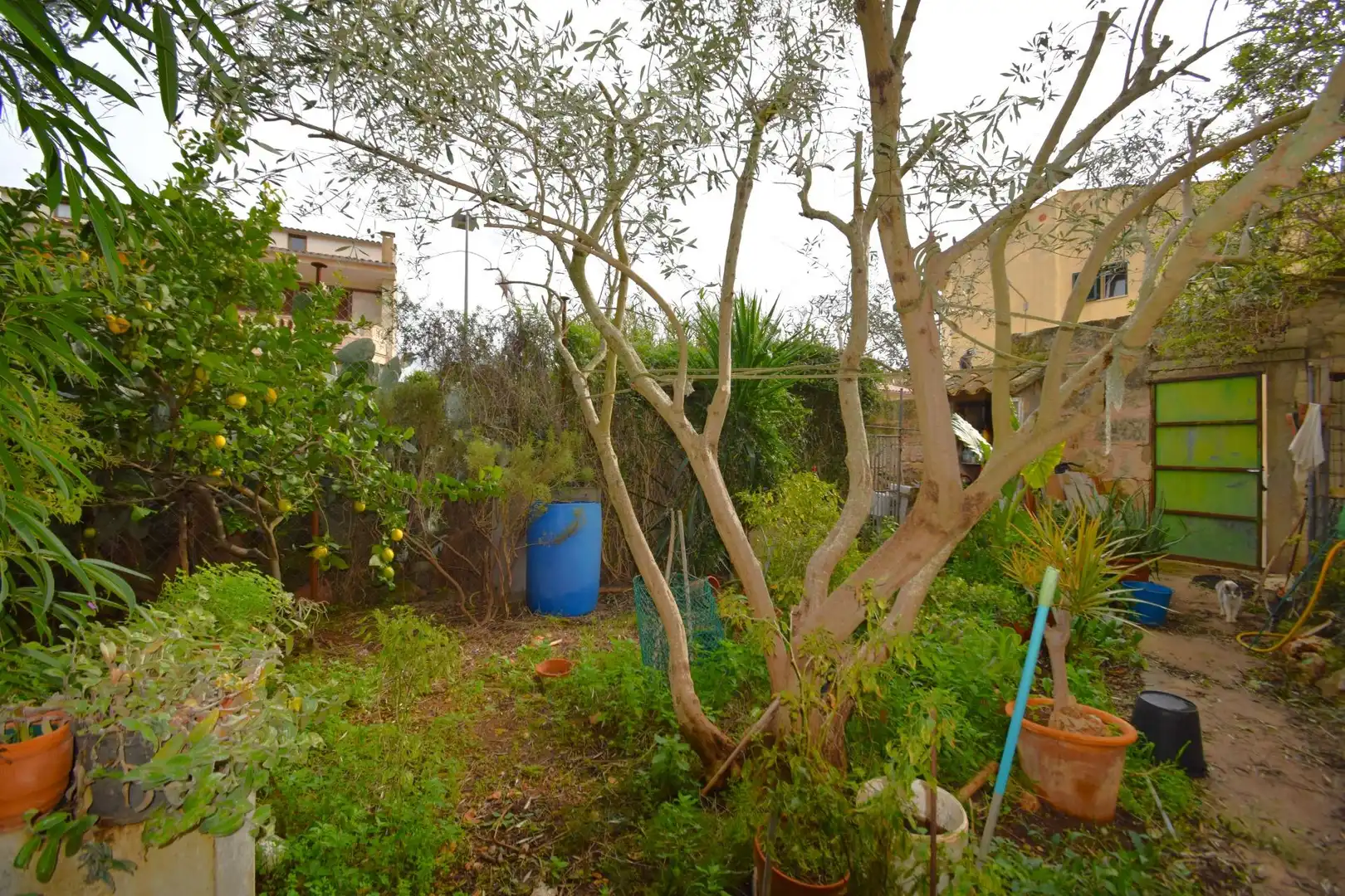 Lands and plots for sale in Carrer del Bisbe Miquel Moncadas, imagen 5