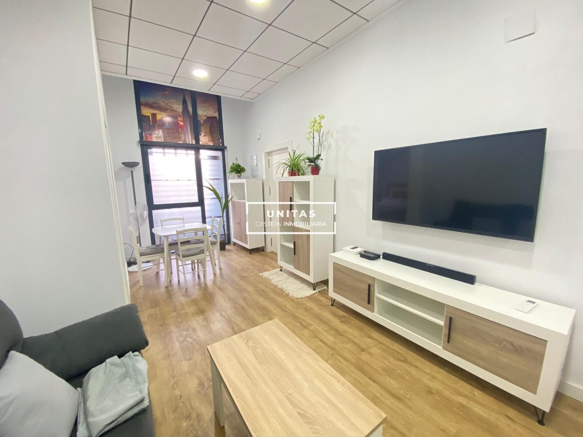 Sala de estar de Piso de alquiler en Alicante / Alacant