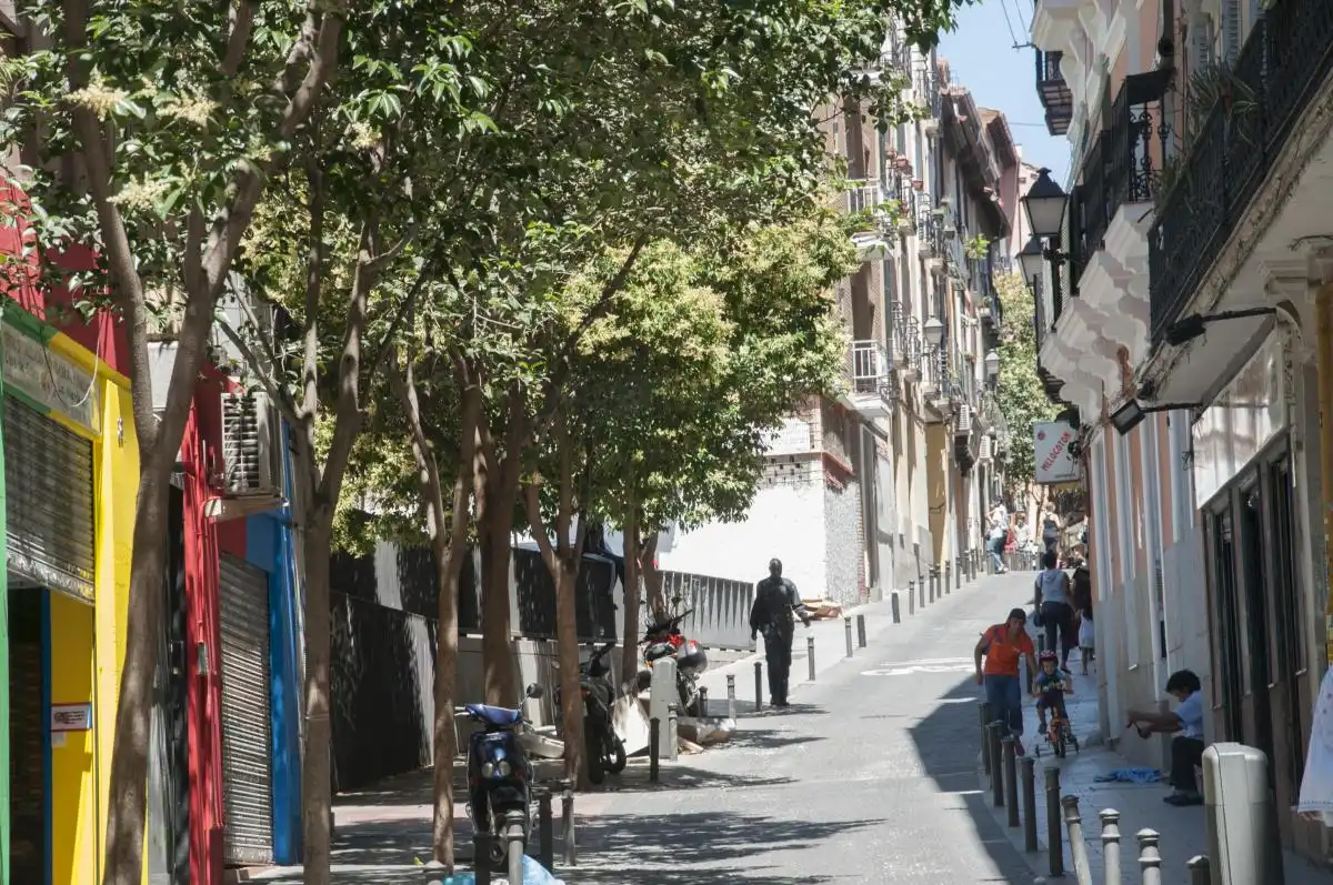 Apartament de lloguer a Embajadores - Lavapiés