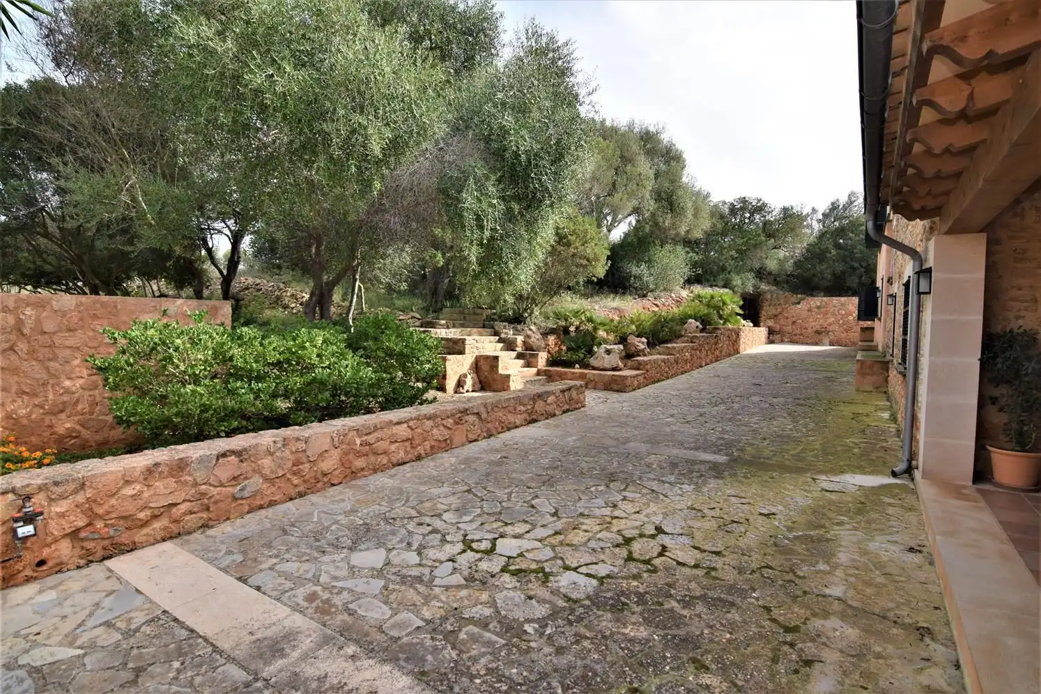 Garten von Grundstücke zur Miete in Artà