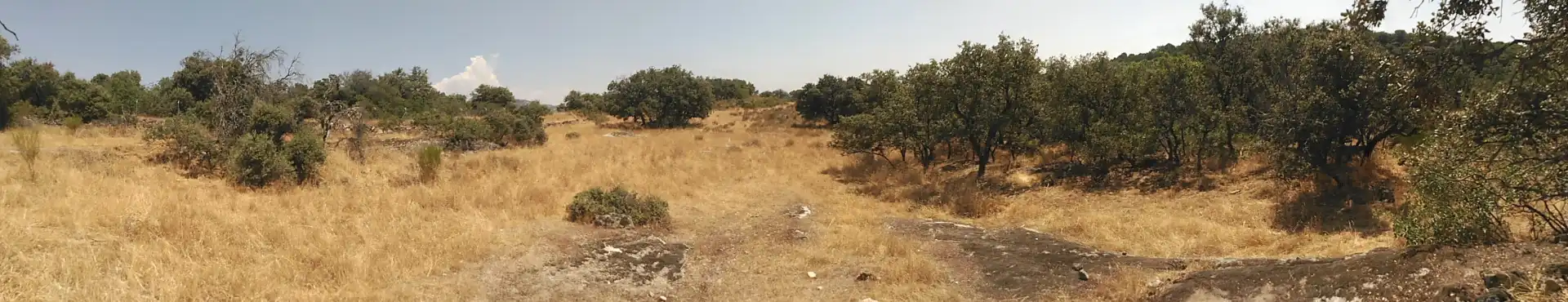 Rural land for sale in Cadalso de los Vidrios, imagen 23