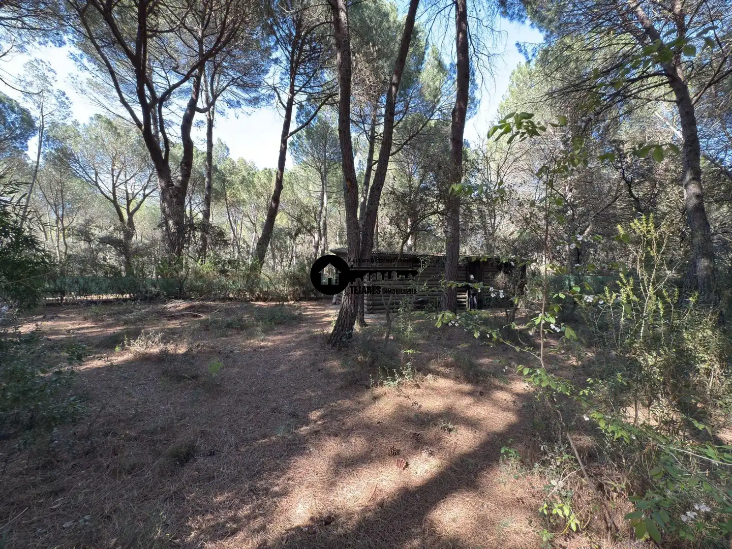 Chalet con terraza en venta en Pedanías - Extrarradio, imagen 21